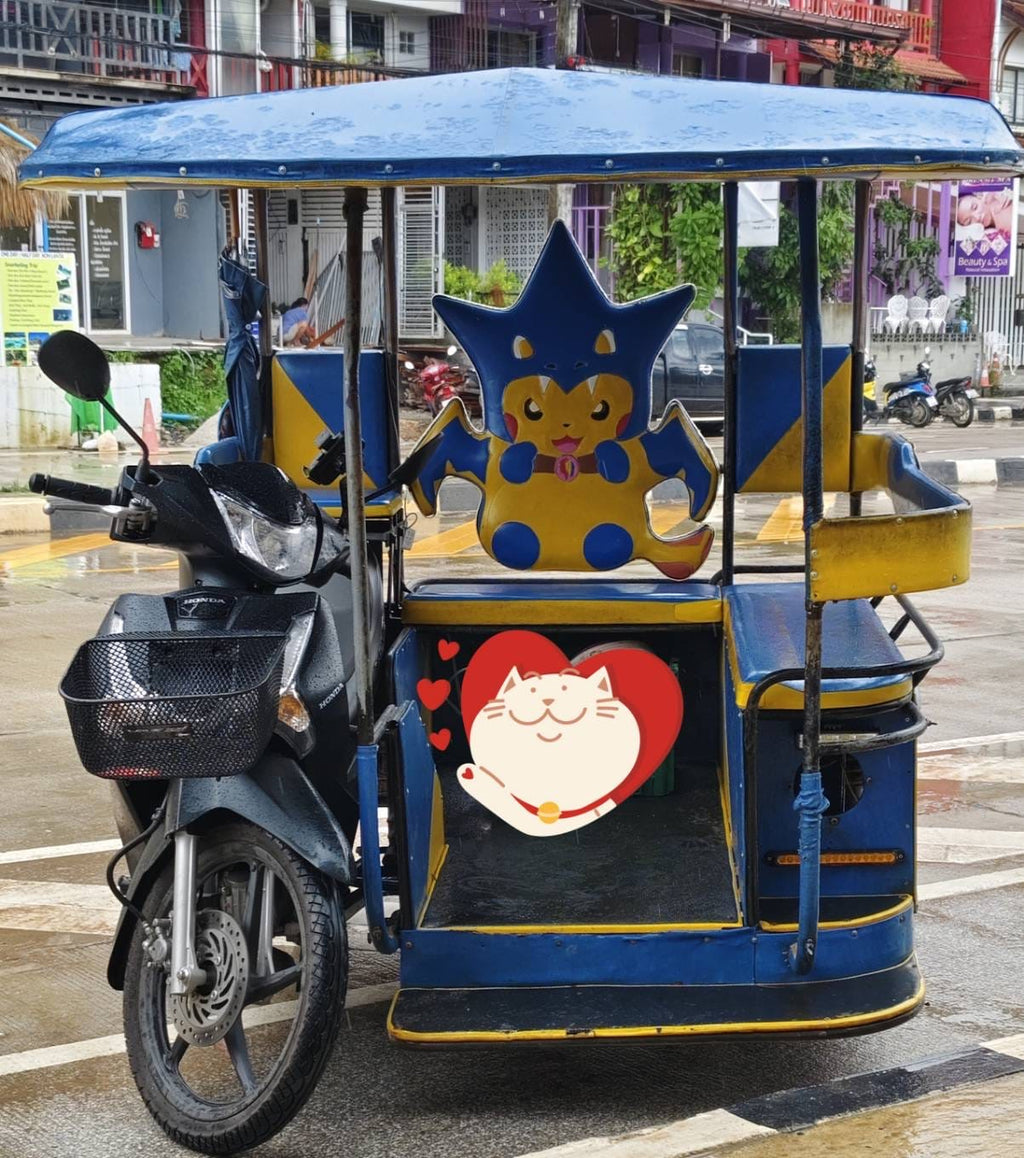 Lanta Saladan Pier to Lanta Hotel Transfers