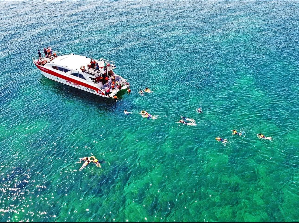Koh Rok & Koh Ha One Day Tour from Koh Lanta - Crystal Clear Water Snorkeling Paradise